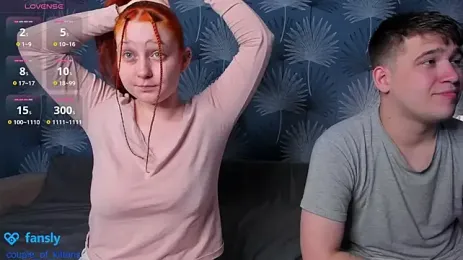 Stream-Bild von couple_of_kittens_