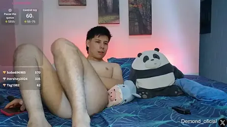 DEMOND_333 Webcam-Vorschau