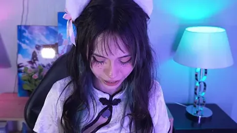 Stream-Bild von kitticam