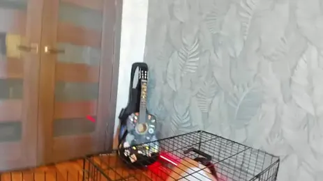 Stream-Bild von prtyhaloaha auf Stripchat