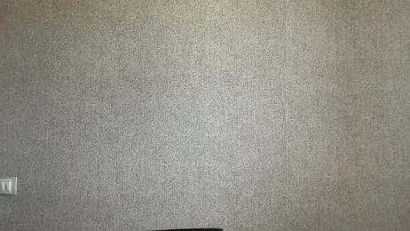 Stream-Bild von Viola-Whisper